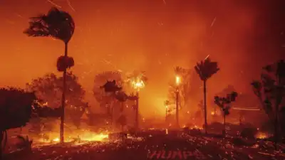 Fires in Los Angeles